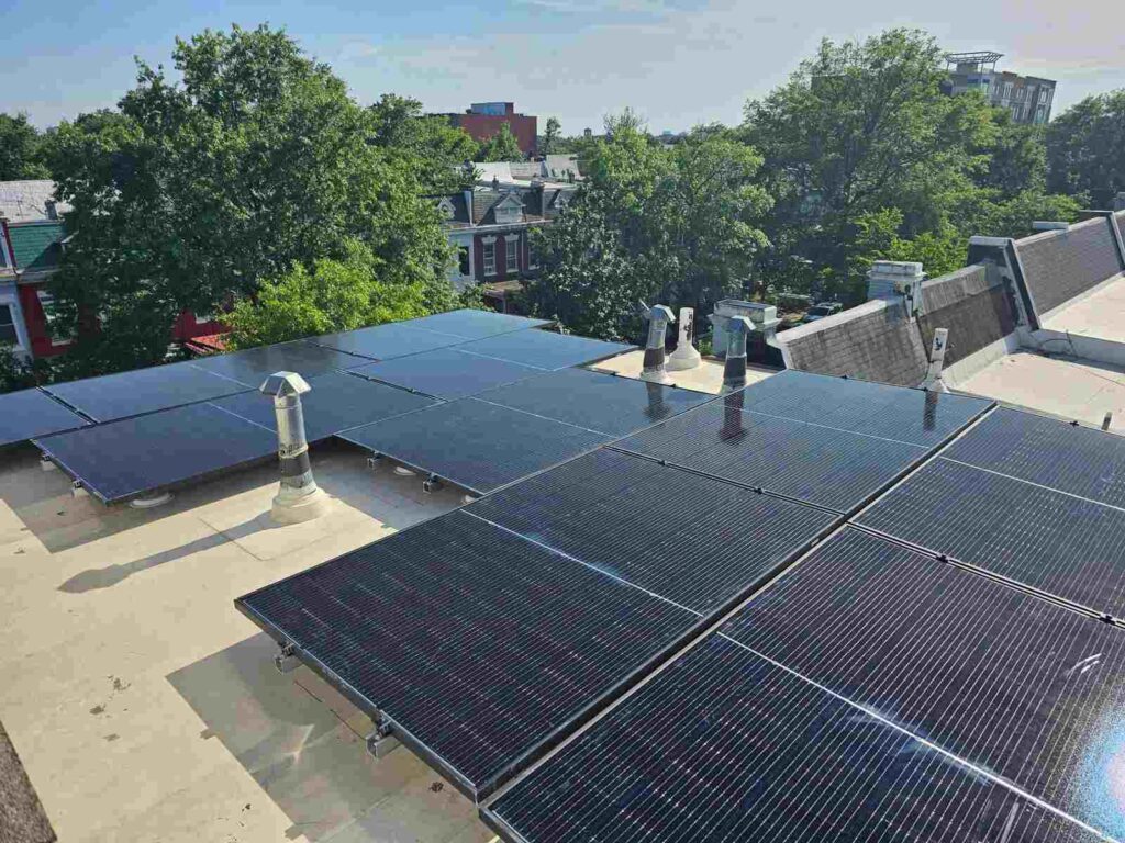 Solar panels on a flat roof with trees in the background.