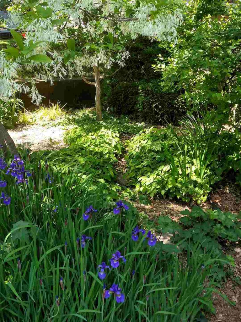 A Brookland garden in spring.